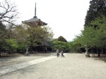 [070427_25.jpg]