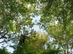[070504_15.jpg]