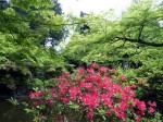 [070504_19.jpg]