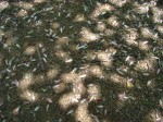 [070511_18.jpg]