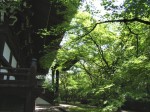 [070511_5.jpg]