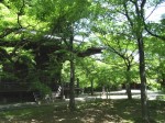 [070511_6.jpg]
