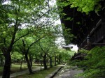 [070518_11.jpg]