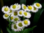 [070518_14.jpg]