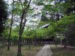 [070518_2.jpg]