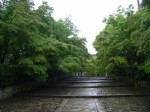 [070525_5.jpg]