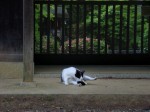 [070601_17.jpg]