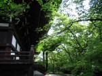 [070601_18.jpg]