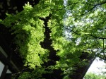 [070601_19.jpg]