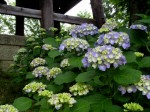 [070608_17.jpg]