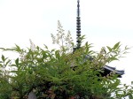 [070608_19.jpg]