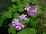 [070608_5.jpg]