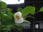 [070614_23.jpg]
