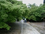 [070614_28.jpg]