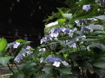 [070622_11.jpg]