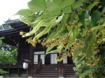 [070622_3.jpg]