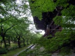 [070622_5.jpg]