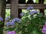 [070629_1.jpg]