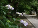 [070629_13.jpg]