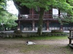 [070629_16.jpg]