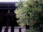 [070629_2.jpg]