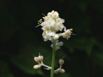 [070706_1.jpg]