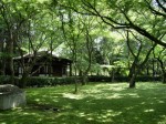 [070706_17.jpg]