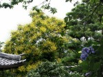 [070706_4.jpg]