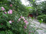 [070713_3.jpg]