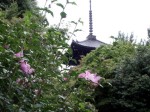 [070713_4.jpg]