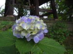 [070719_11.jpg]