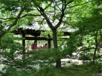 [070719_16.jpg]