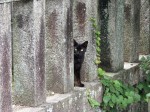 [070719_17.jpg]