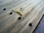 [070719_18.jpg]