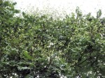 [070719_3.jpg]