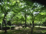 [070719_9.jpg]