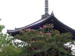 [070726_1.jpg]