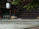 [070802_10.jpg]