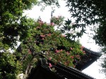 [070802_4.jpg]