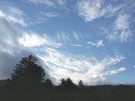 [070802_8.jpg]