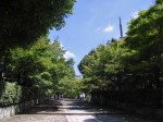 [070810_17.jpg]