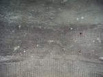 [070810_9.jpg]