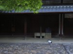 [070818_7.jpg]