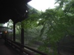 [070831_2.jpg]