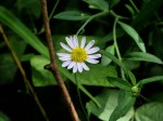 [070907_13.jpg]