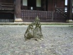 [070907_17.jpg]