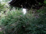 [070922_1.jpg]