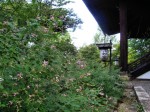 [070922_4.jpg]