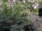 [070928_1.jpg]