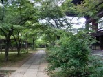 [070928_8.jpg]